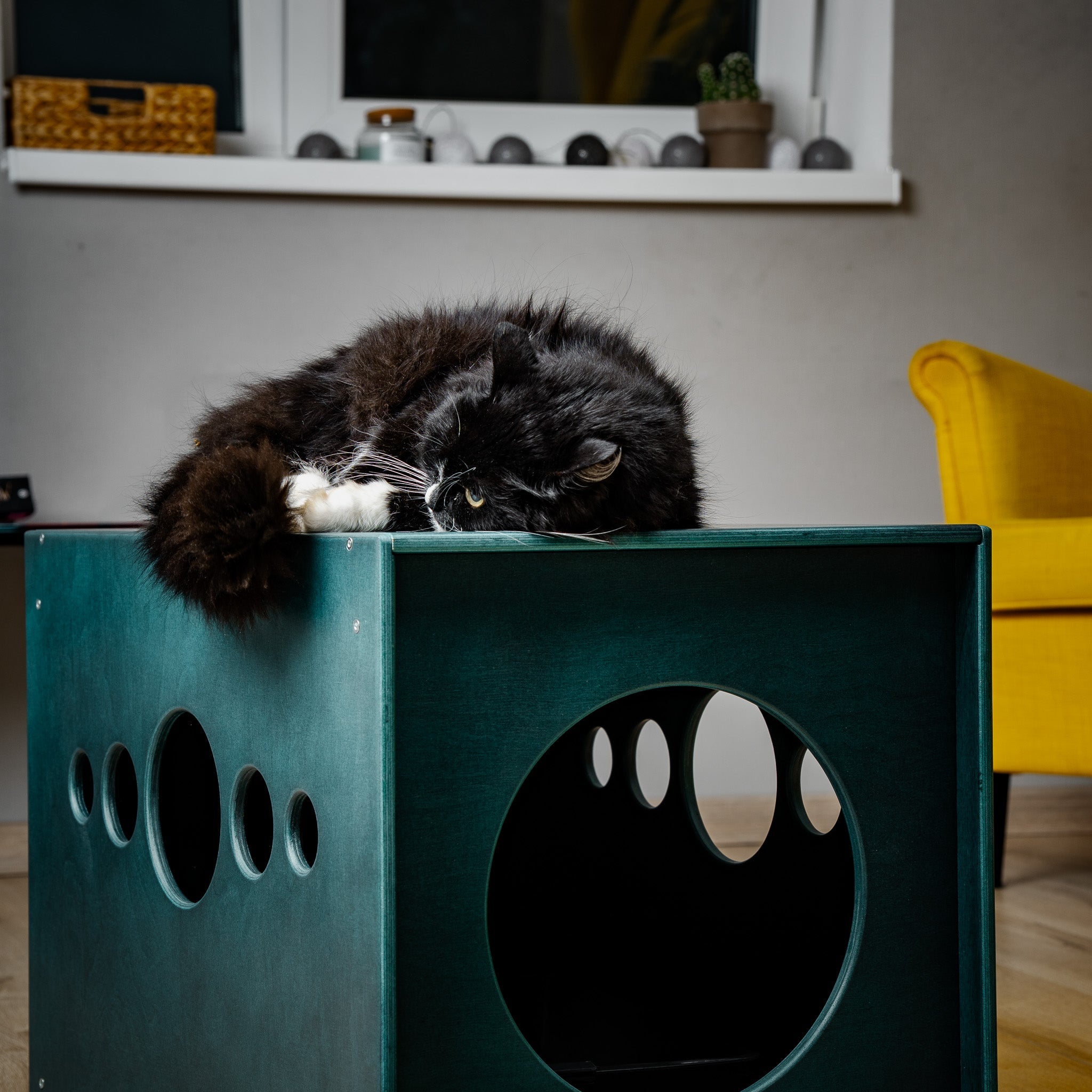 For Pets