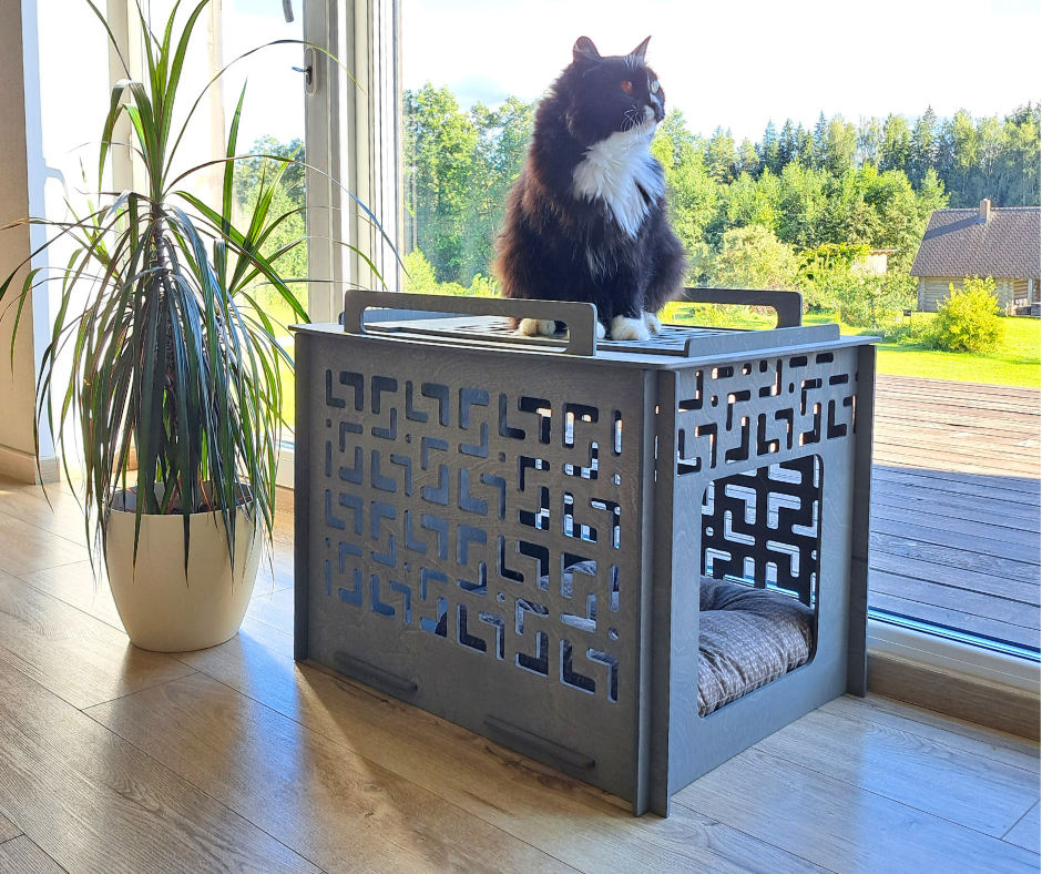 Large pet house