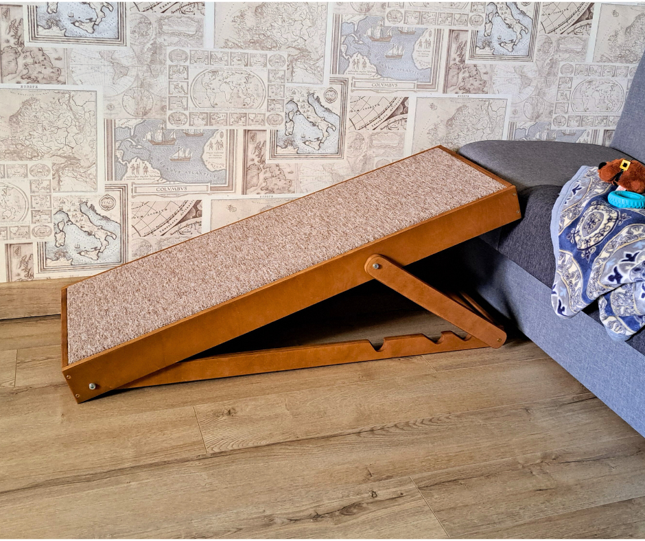Dog ramp