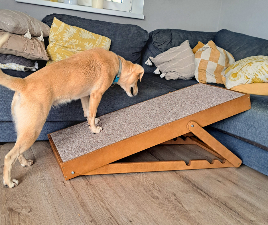 Dog ramp