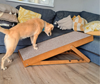 Dog ramp