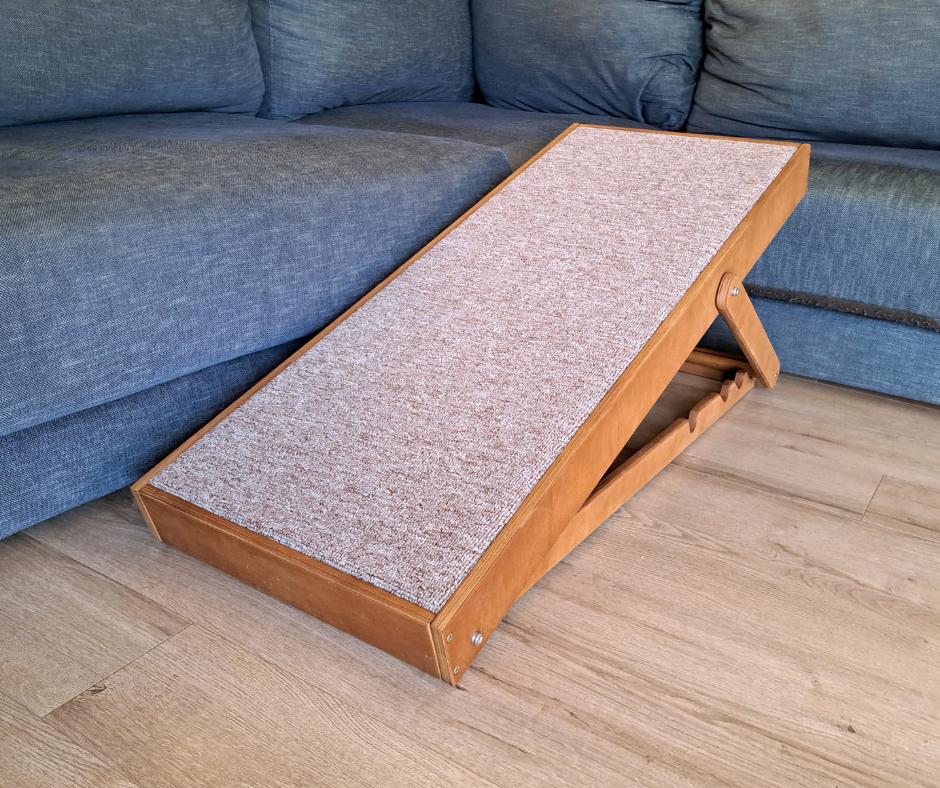 Dog ramp
