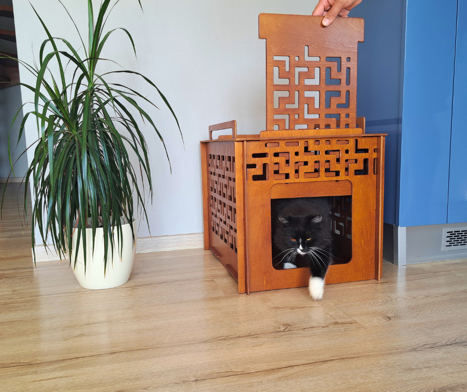 Large pet house