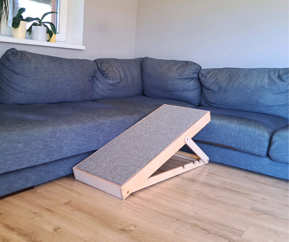 Dog ramp