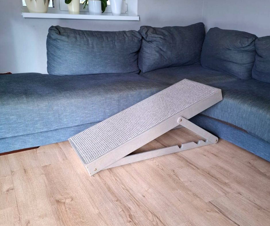 Dog ramp