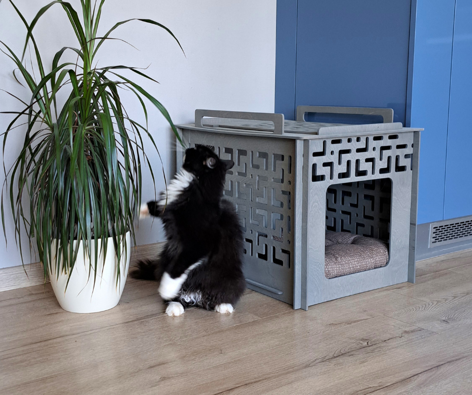 Large pet house