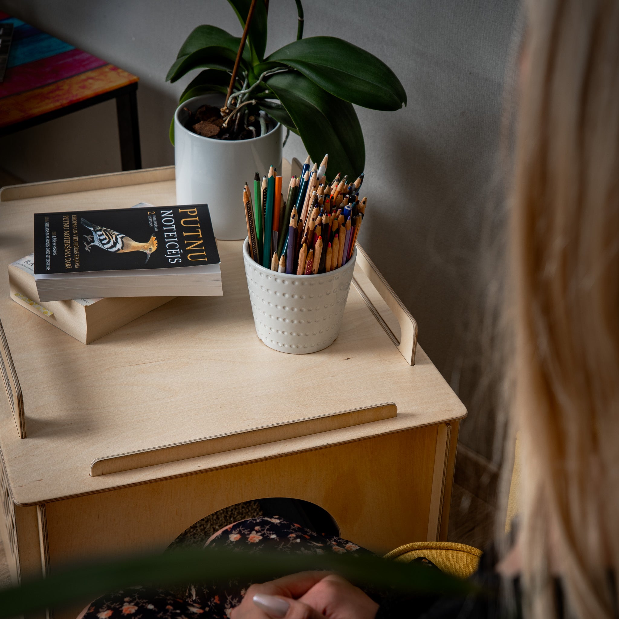 Cat litter box cover