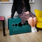 Cat litter box cover - sit bench edition