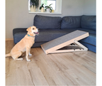 Dog ramp