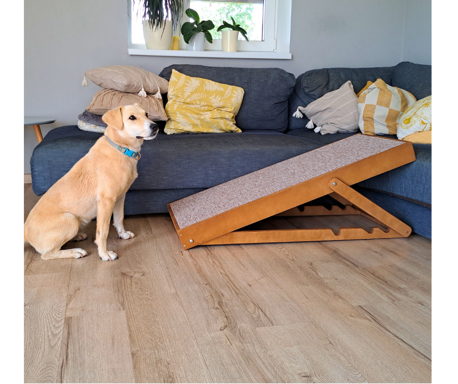 Dog ramp