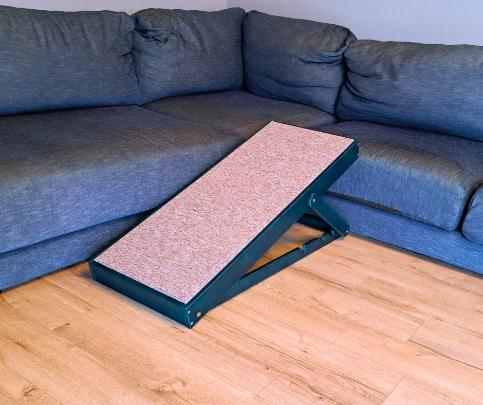 Dog ramp